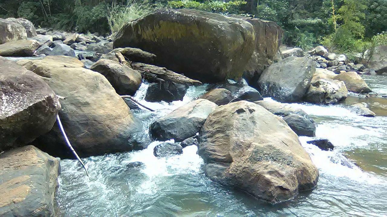 Sinharaja Hostel 114 Deniyaya Buitenkant foto